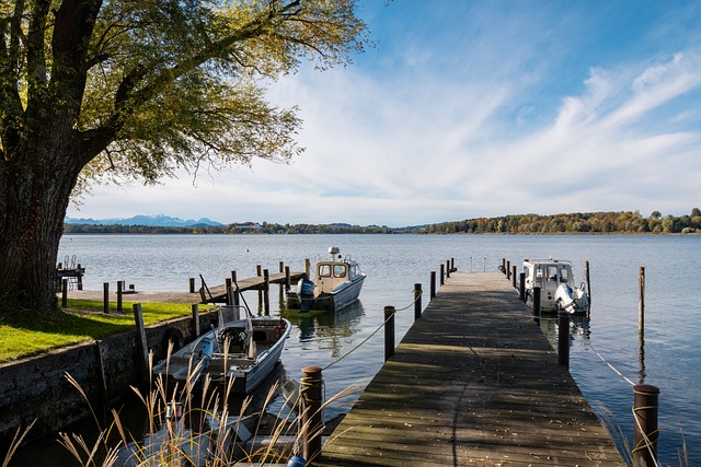 组的巨大考 组的巨大考