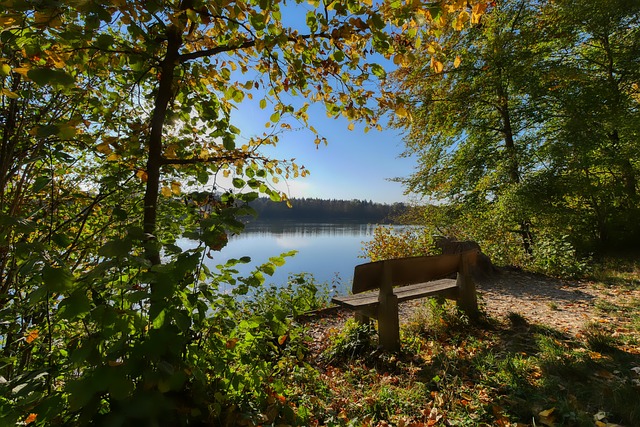 个人角色的 个人角色的