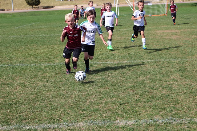 化学反应 化学反应