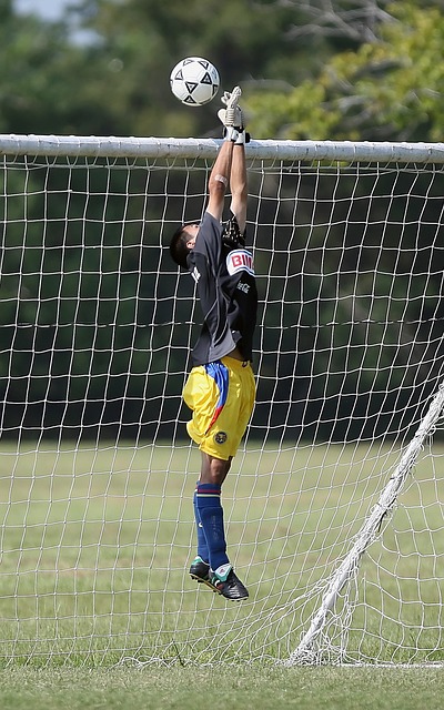 来了更多期 来了更多期